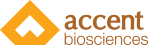 Project Manager Consulting I Accent